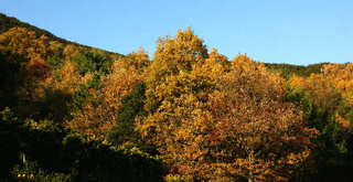 101205-07.jpg