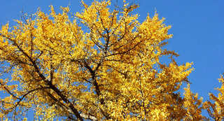 101205-11.jpg