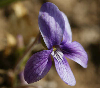 110320-05a.jpg