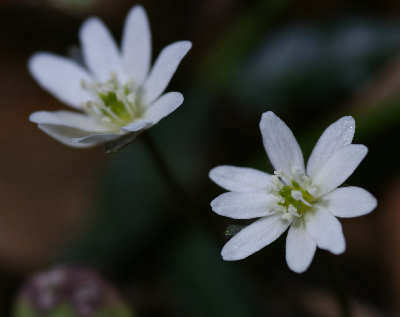 110320-06.jpg