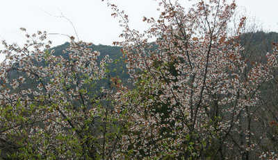 110402-01.jpg