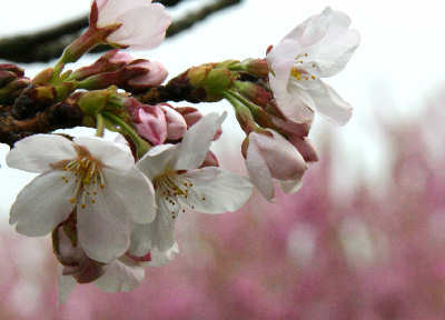 110402-03.jpg