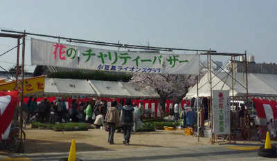 110410-01.jpg