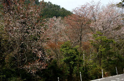 110417-11.jpg