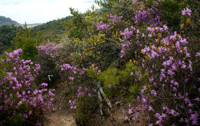 110417-16.jpg