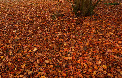 111113-27.jpg