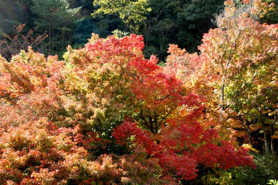 111120-06.jpg