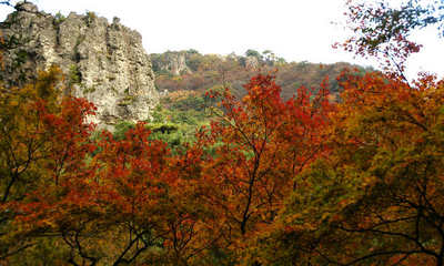 111120-10.jpg