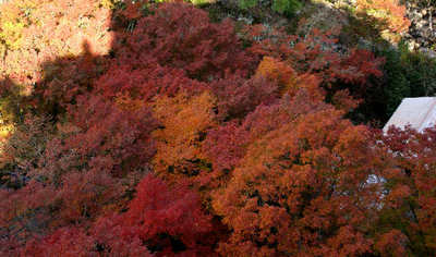 111120-11.jpg