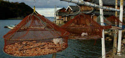 120122-08.jpg