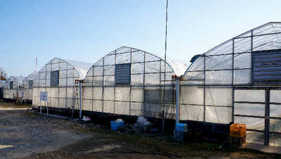 120212-10.jpg