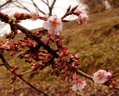120226-01.jpg