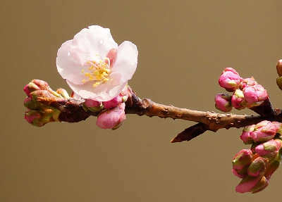 120311-11.jpg