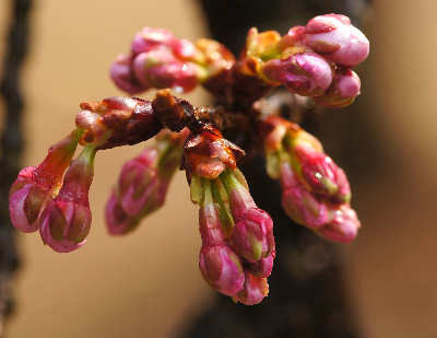 120311-12.jpg