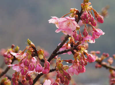 120311-13.jpg