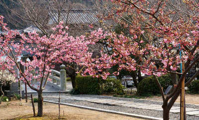 120317-01.jpg