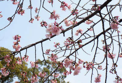120317-03.jpg