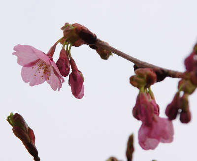 120317-06.jpg