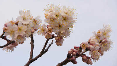 120317-08.jpg