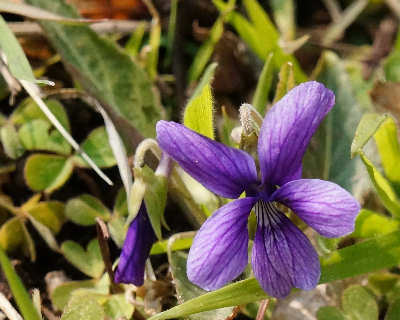 120318-02.jpg