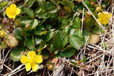 120318-03.jpg