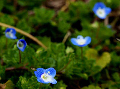 120318-06.jpg