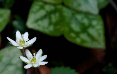 120318-09.jpg