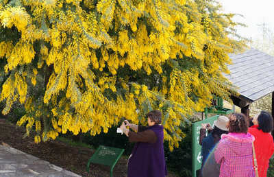 120325-12.jpg