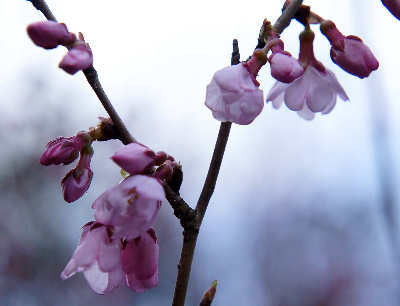 120325-17.jpg