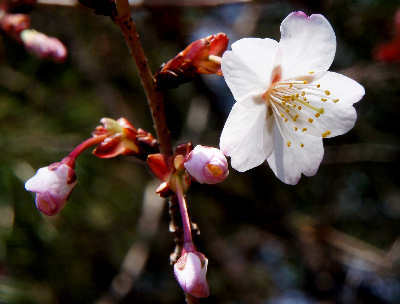 120325-21.jpg