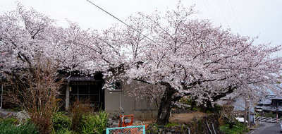 120410-01.jpg