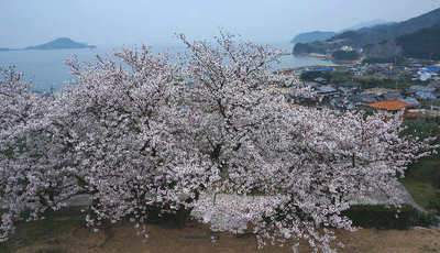 120410-02.jpg