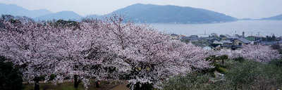 120410-03.jpg