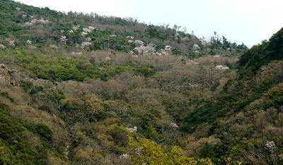 120415-15.jpg