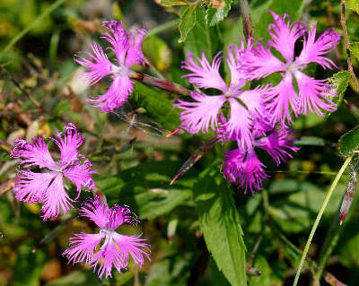 120616-02.jpg