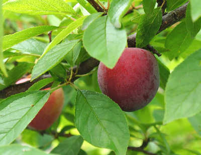 120625-01.jpg