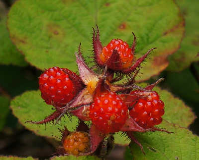 120625-03.jpg