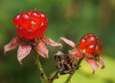 120625-04.jpg