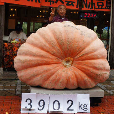 120930-11.jpg