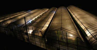 121007-23.jpg