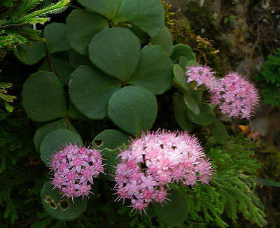 121027-11.jpg