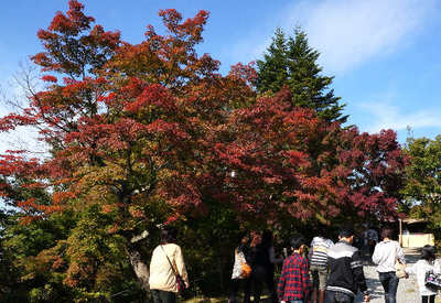 121027-12.jpg