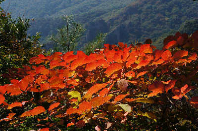 121027-13.jpg