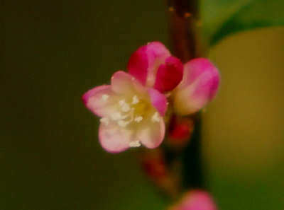 121028-21.jpg
