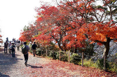 121118-18.jpg