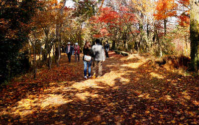 121118-19.jpg