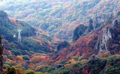 121118-21.jpg