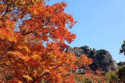 121118-22.jpg