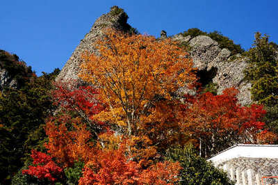 121118-24.jpg