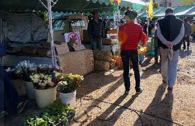 121125-03.jpg